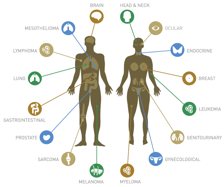 Our Genome The Key To Cancers Achilles Heel Biol312 Unbc Molecular Cell Physiology 