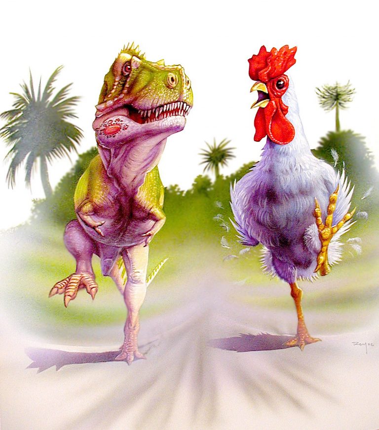 Reversing Evolution From chickens to dinosaurs BIOL312 UNBC