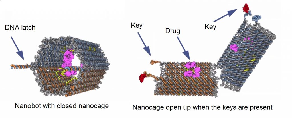 Figure 3. A diagram of how the nanobot treatment functions.
