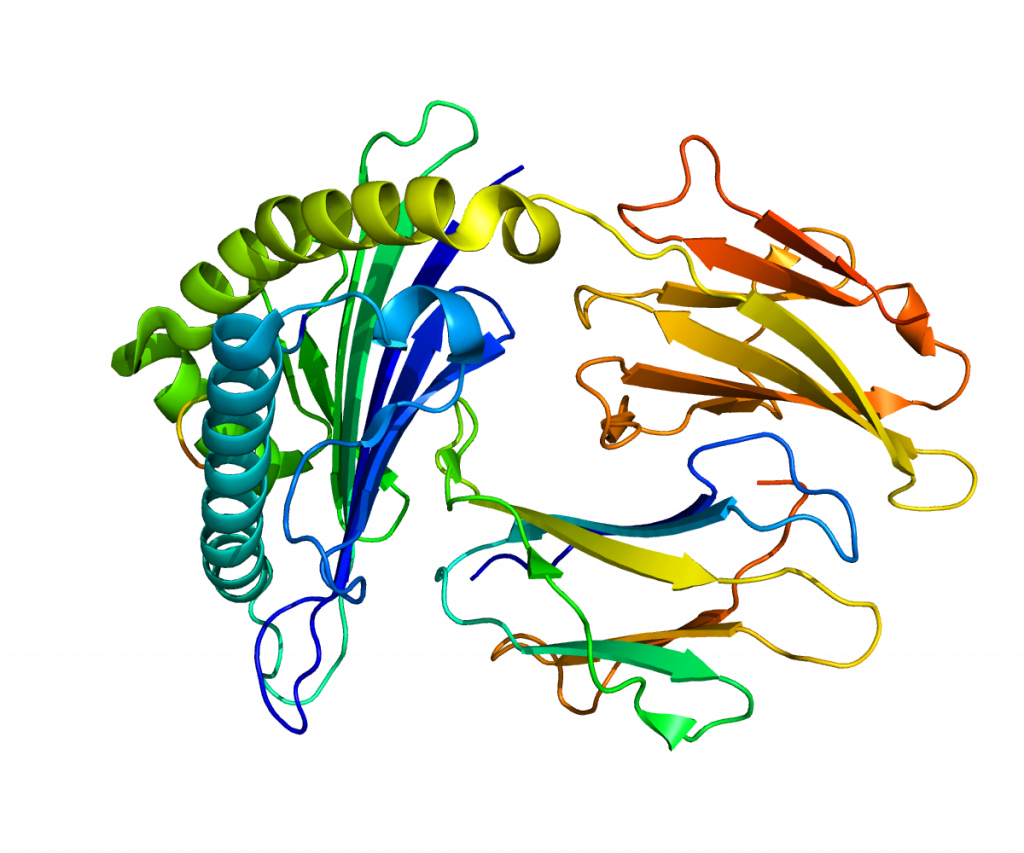 protein_irs2_pdb_3fqw