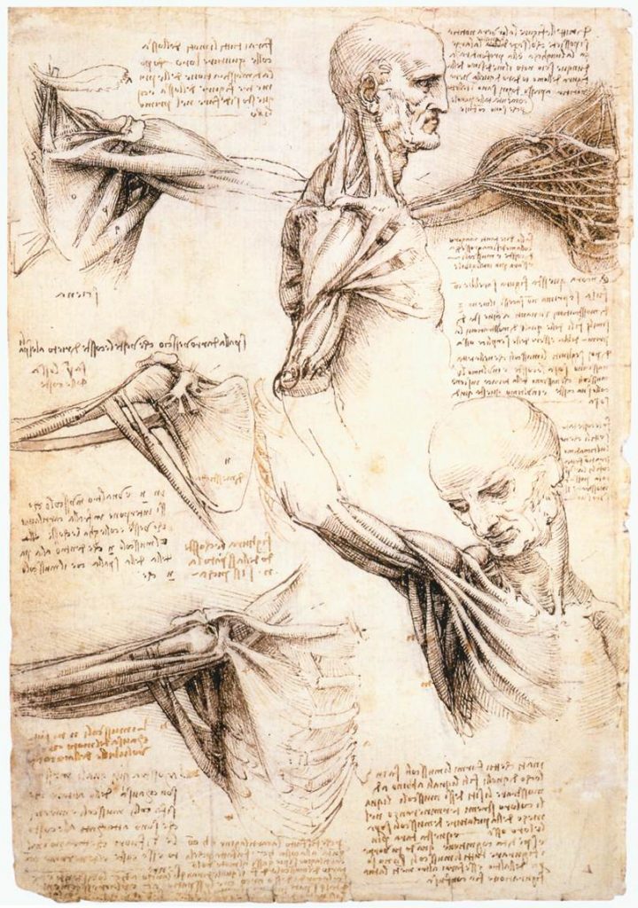 A History of Medicine: Leonardo da Vinci – BIOL312 @UNBC – Molecular